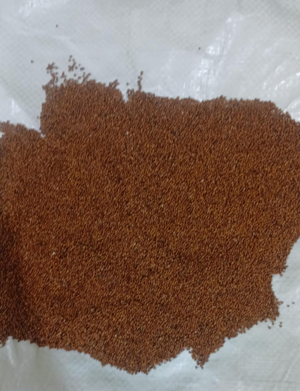Finger Millet (Ragi)